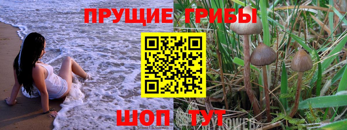 МЕФ кристаллы  Светлоград  Вход с VPN  Cocaine  ГАШ  Марихуана 