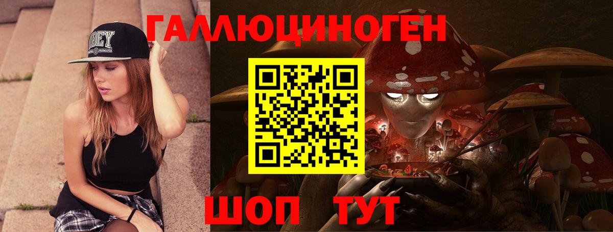 Псилоцибиновые грибы Cubensis Светлоград