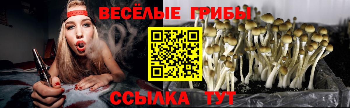 Светлоград  Галлюциногенные грибы Cubensis  Псилоцибиновые грибы мухоморы  Вход с VPN 